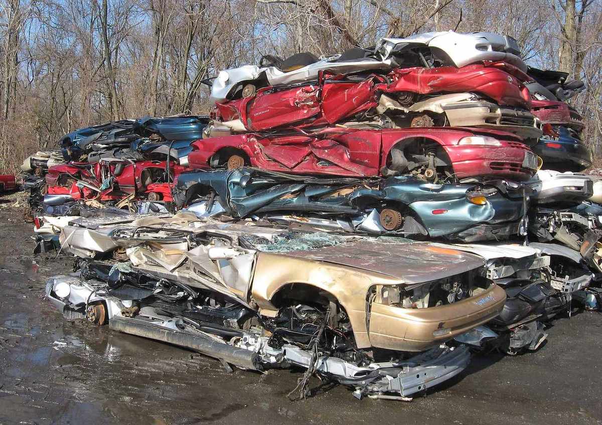 Rows of junk vehicles in an auto scrapyard